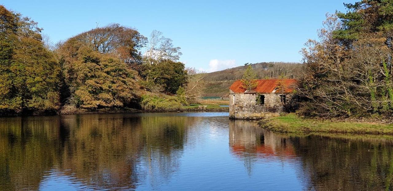 The Waterside B&B Westport Eksteriør bilde